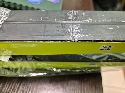 Превью Детские беговые лыжи Беговые лыжи FISCHER Carbonlite Skate JR с дефектом (24/25) (N58522-1)
